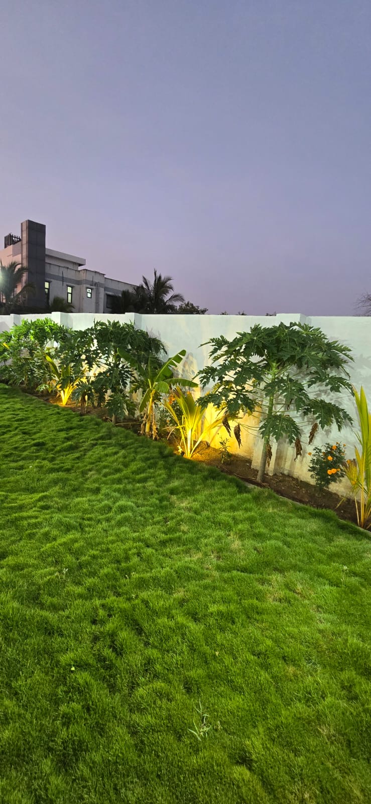 Garden 4