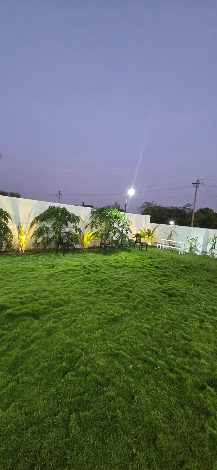 Garden 5